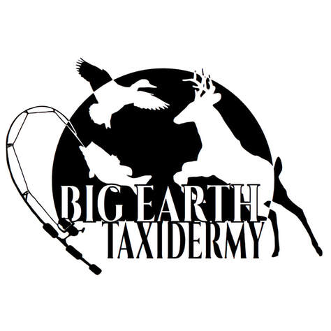 Big Earth Taxidermy